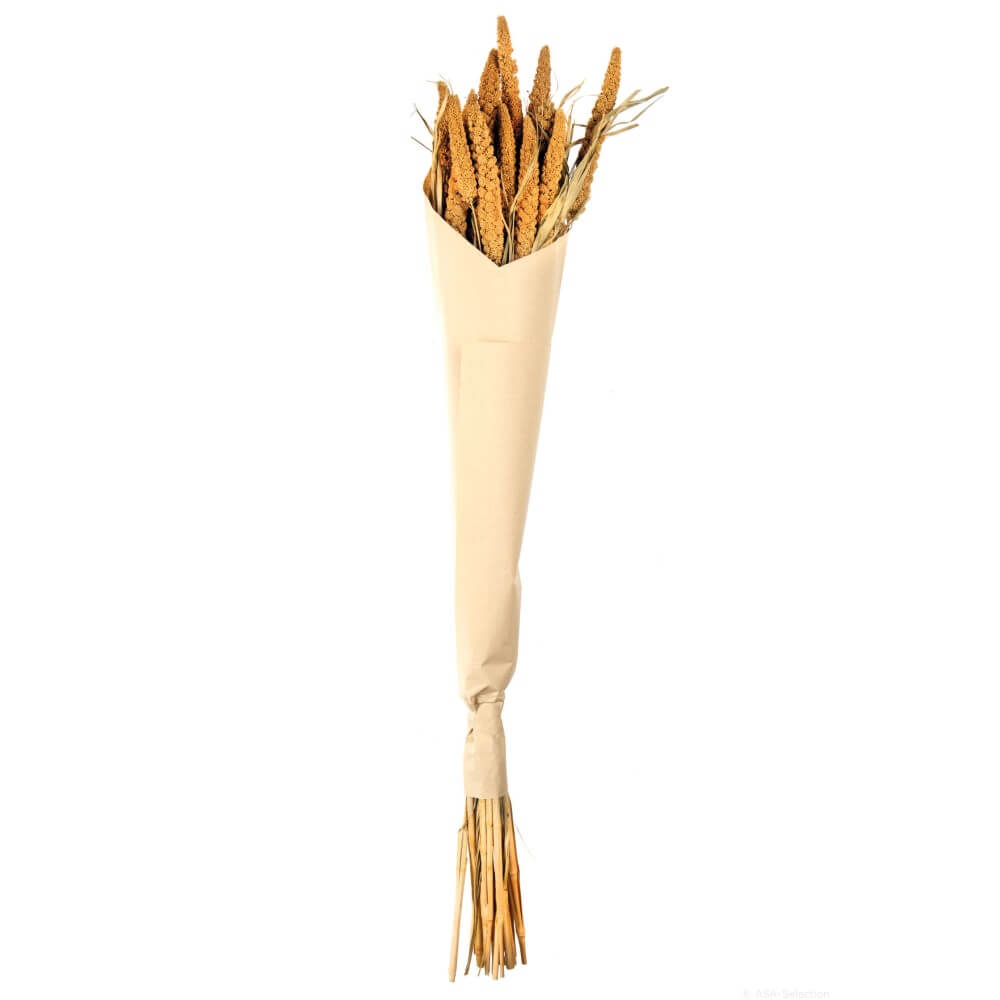 66314444-dried-flowers