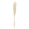 66317444-dried-flowers-lose