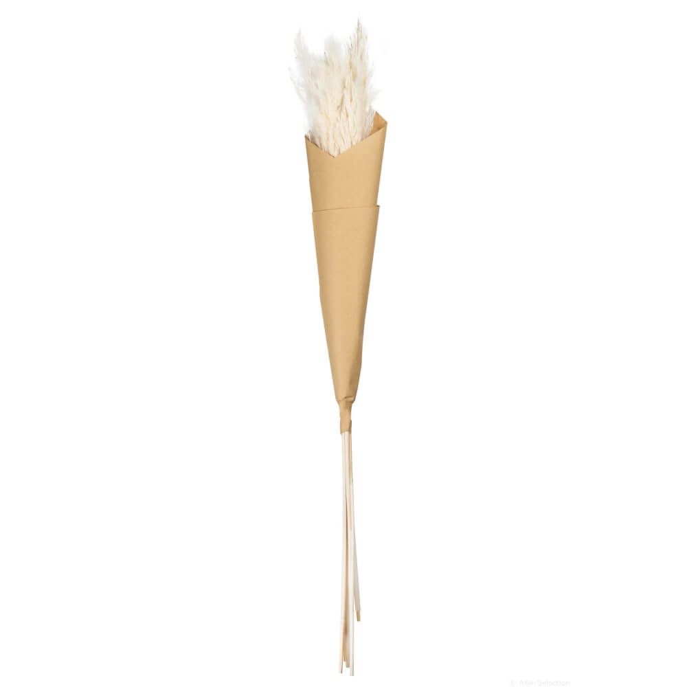 66317444-dried-flowers
