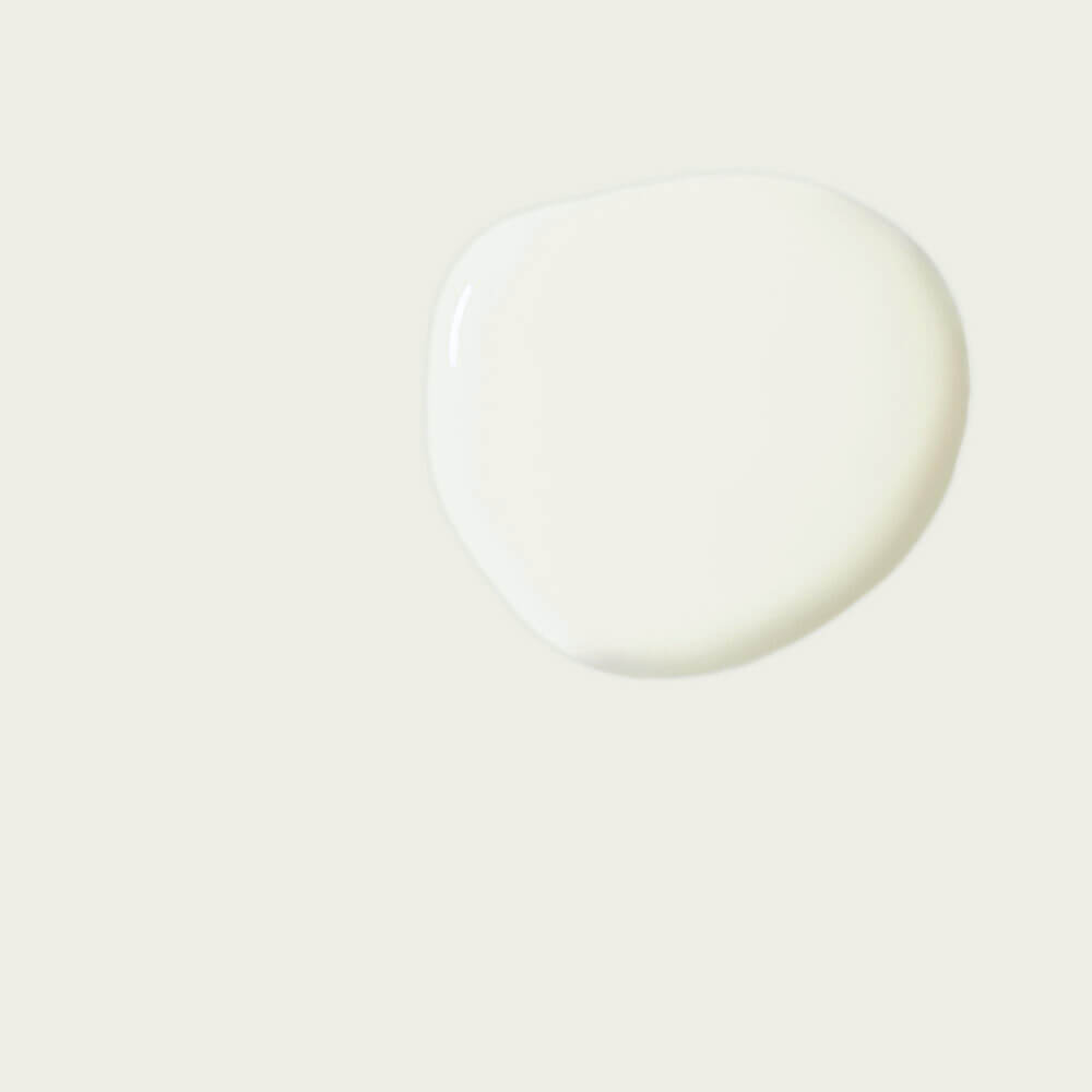 annie sloan kreidefarbe old white farbmuster