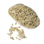 deko-muscheln-posthorn