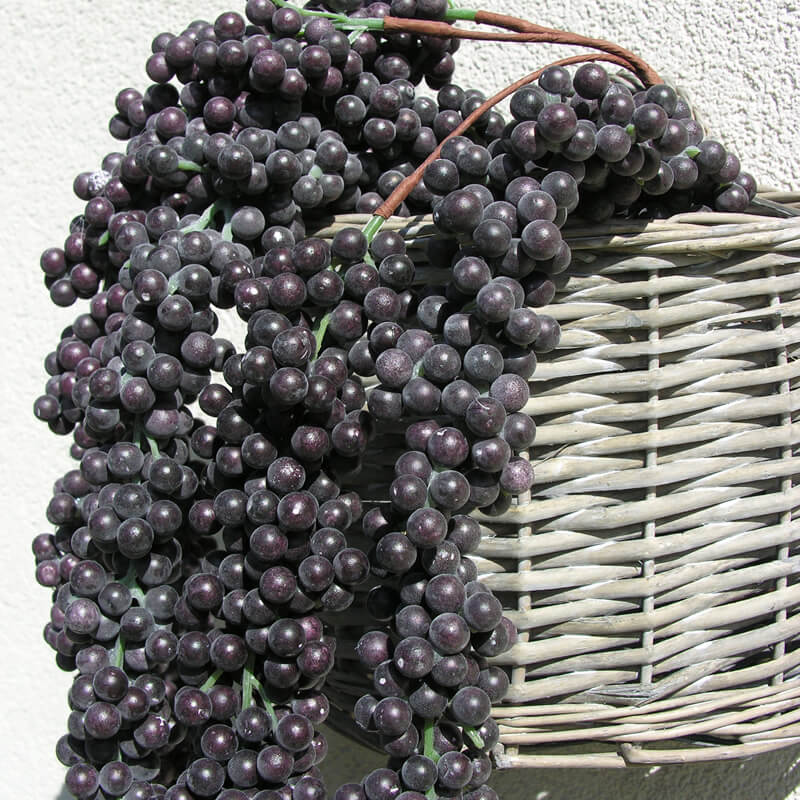 dekozweig-vittoria-blaubeere-beeren