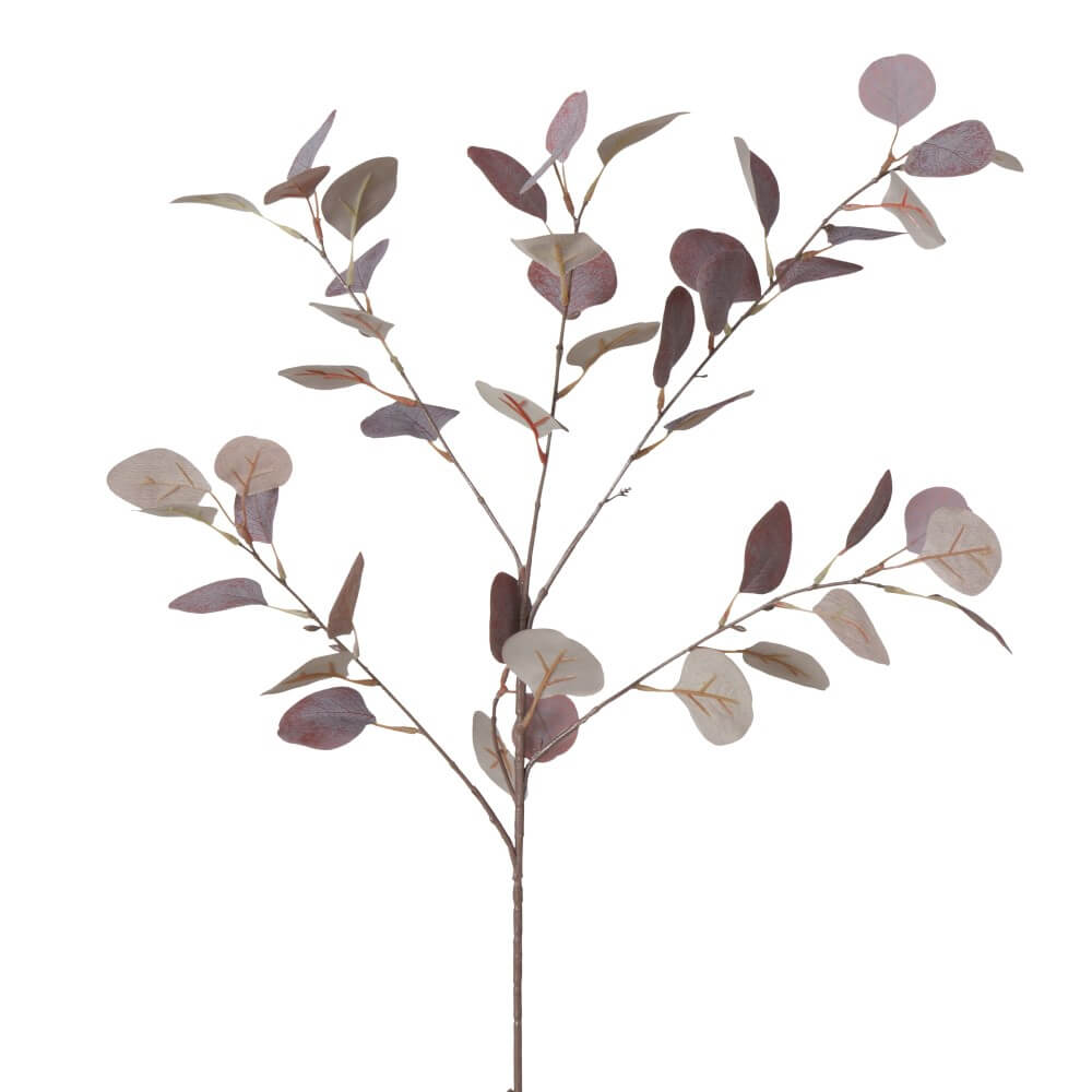 dekozweig eukalyptus burgund