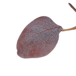 dekozweig eukalyptus burgund detail