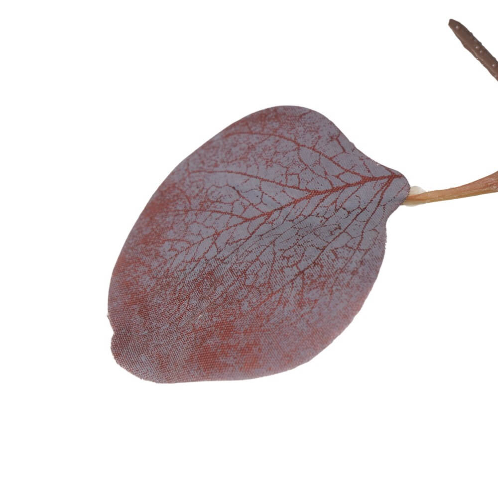 dekozweig eukalyptus burgund detail