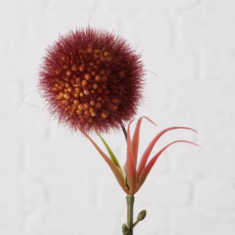 dekozweig tonnya allium detail