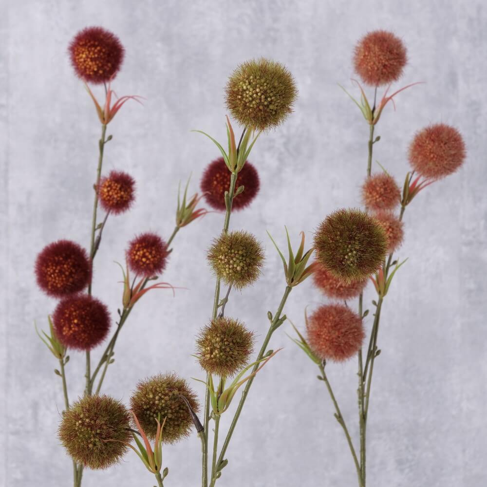dekozweig tonnya allium mood