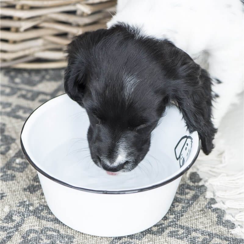 emaille-fressnapf-fuer-hunde-mood