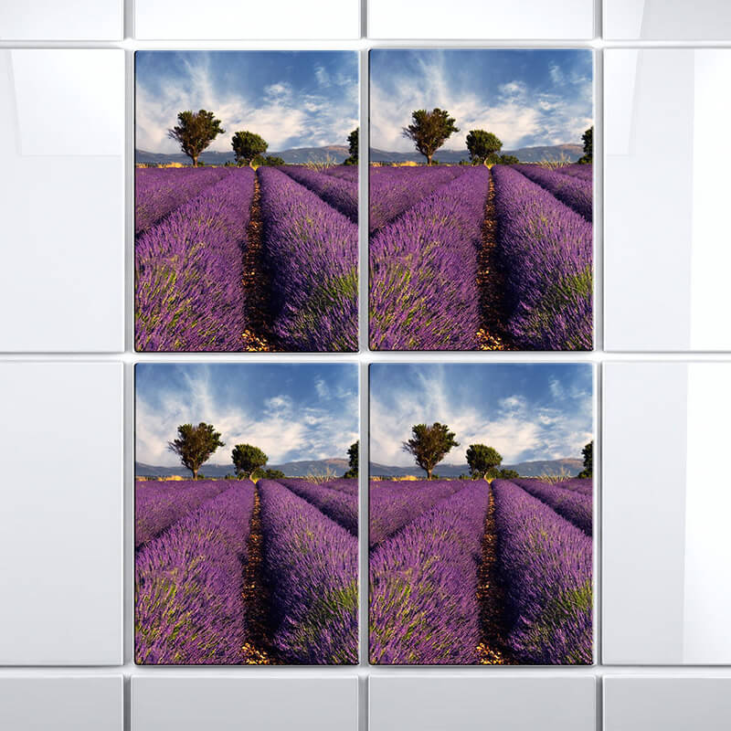 fliesen-klebefolie-lavendel-einzelbilder