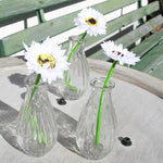 glasvasen-mit-gerbera-weiss