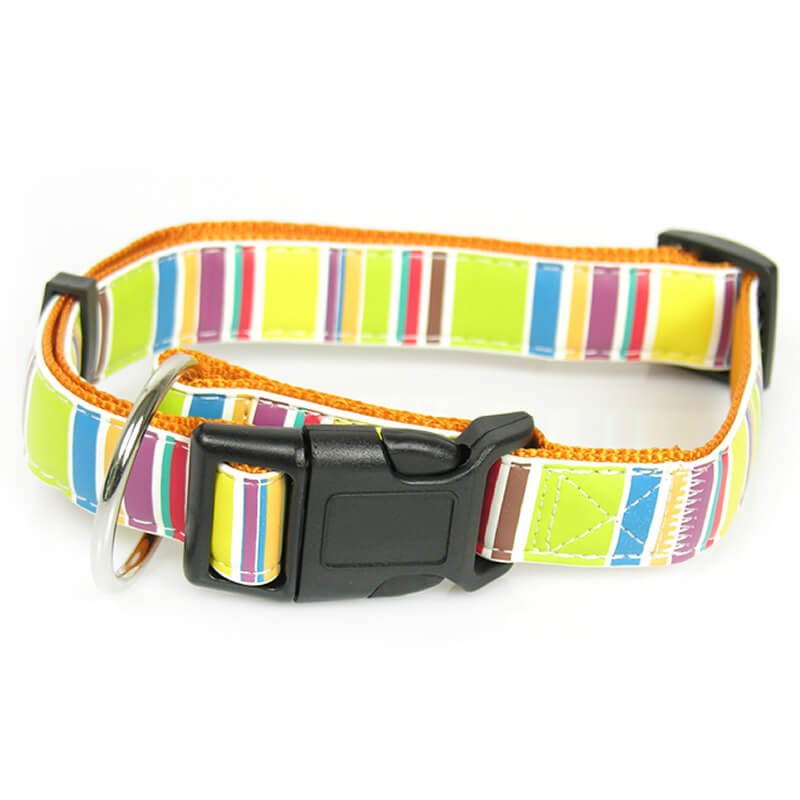 hundehalsband-fancy-stripes