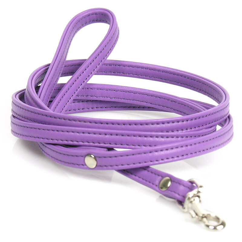 hundeleine-petit-violett