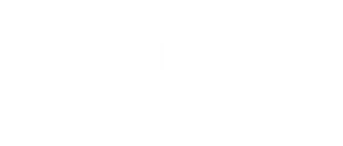 Logo pluebel.ch negativ 