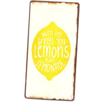 magnet-lemons