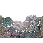 motivtapete-bellewood-rainbow