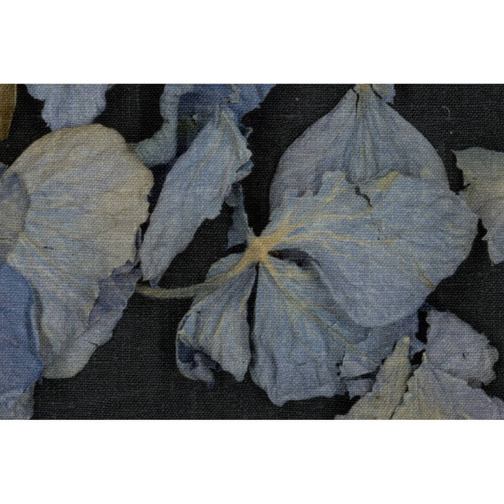 motivtapete-fragile-beauty-dark-blue-mood3