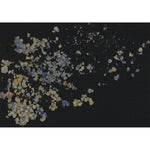 motivtapete-fragile-beauty-dark-blue