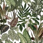 motivtapete-monkeys-tropic