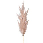 pampasgrass ros