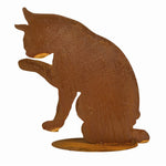rosteisen katze tom putzend hd