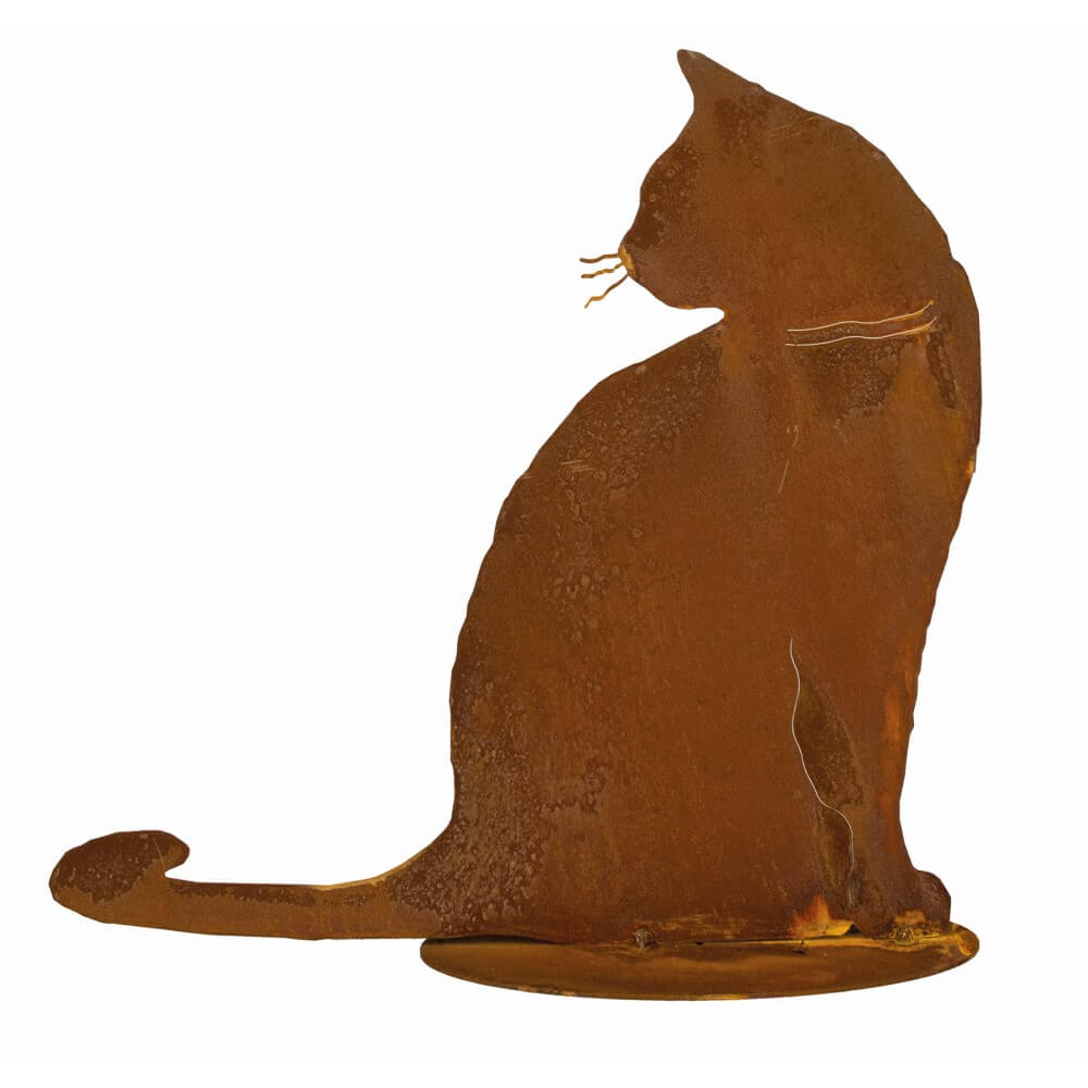 rosteisen katze tom sitzend hd