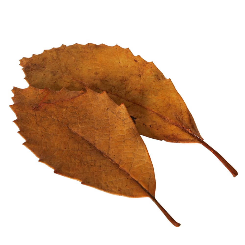 streudeko herbstbltter rostbraun