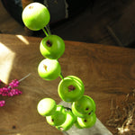 zweig-mit-apfel-gruen-mood