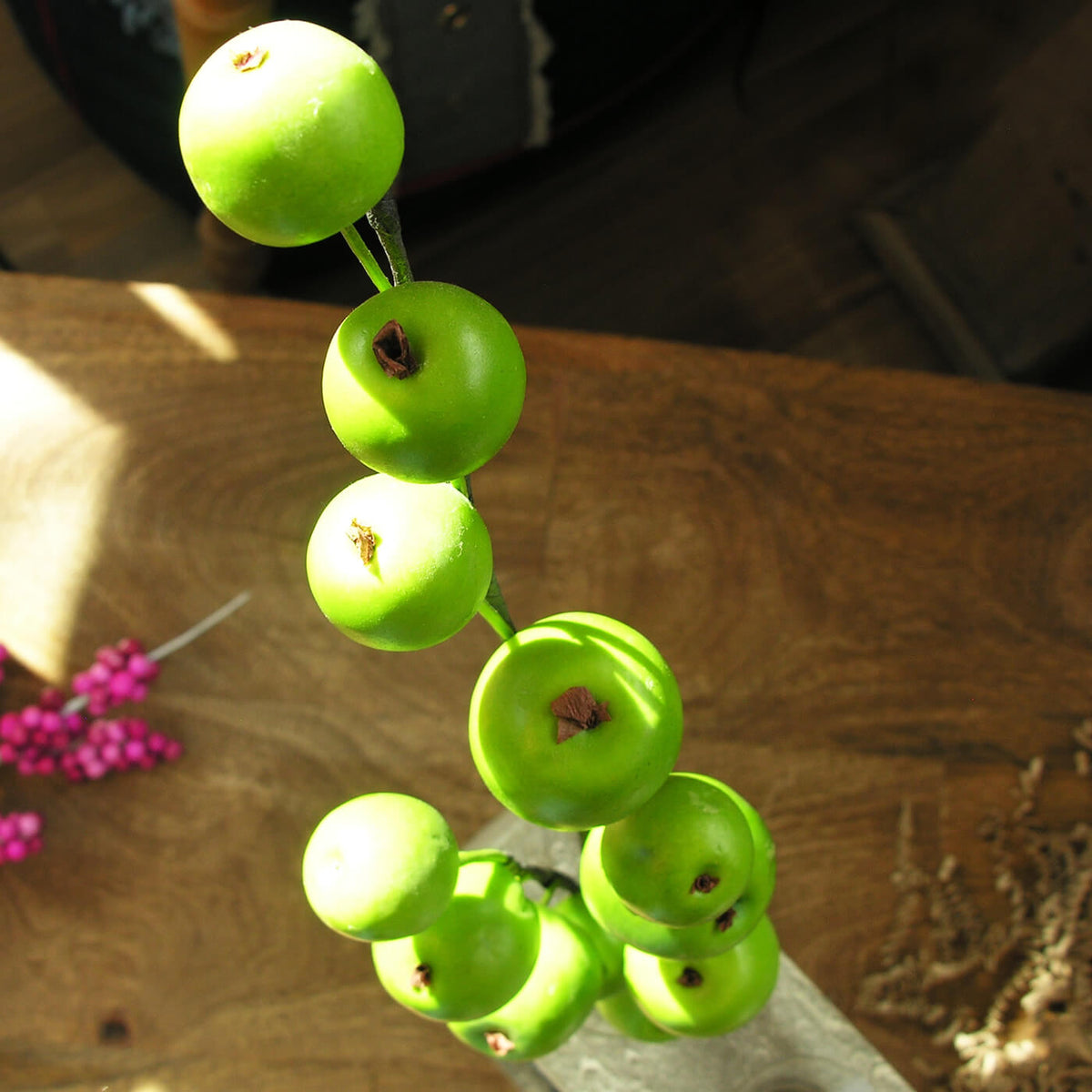 zweig-mit-apfel-gruen-mood